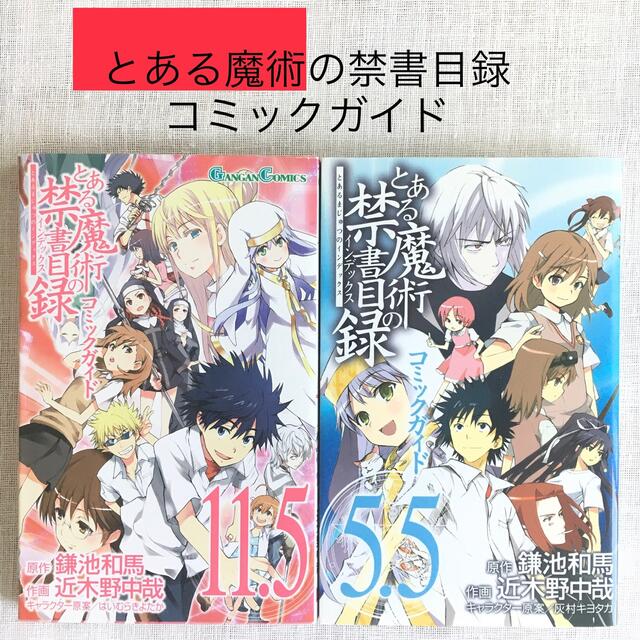 Square Enix とある魔術の禁書目録 コミックガイド 2冊セット 5 5 11 5 近木野中哉の通販 By Fukufuku S Shop スクウェアエニックスならラクマ