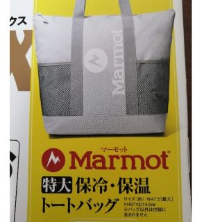 マーモット(MARMOT)のMonoMax　Marmot　保冷保温トートバック(トートバッグ)