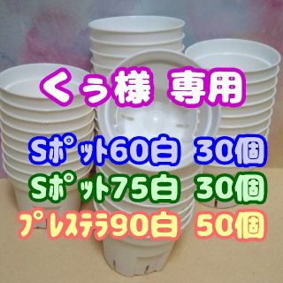 プラ鉢 《Ｓポット丸型60＆75》 白 各30個他 プレステラ 多肉植物 プラ鉢(プランター)