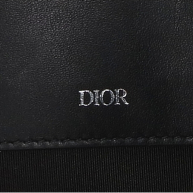 正規新品 21SS DIOR ディオール ピータードイグ クラッチバッグ