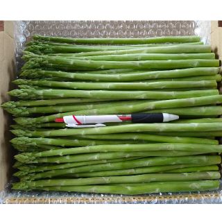 細アスパラガス 1kg 産地直送(野菜)