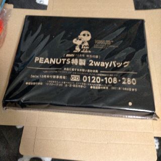 スヌーピー(SNOOPY)のmini10月号付録　PEANUTS特製2wayバッグ (ショルダーバッグ)