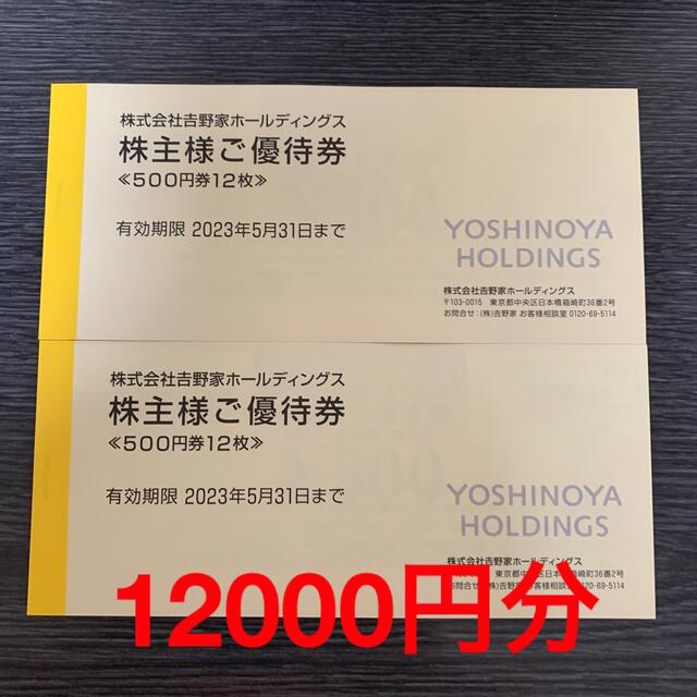 吉野家 株主優待券 12000円分 - theorigin.edu.pk