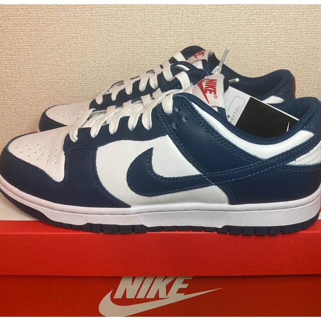 NIKE Dunk Low "Valerian Blue"