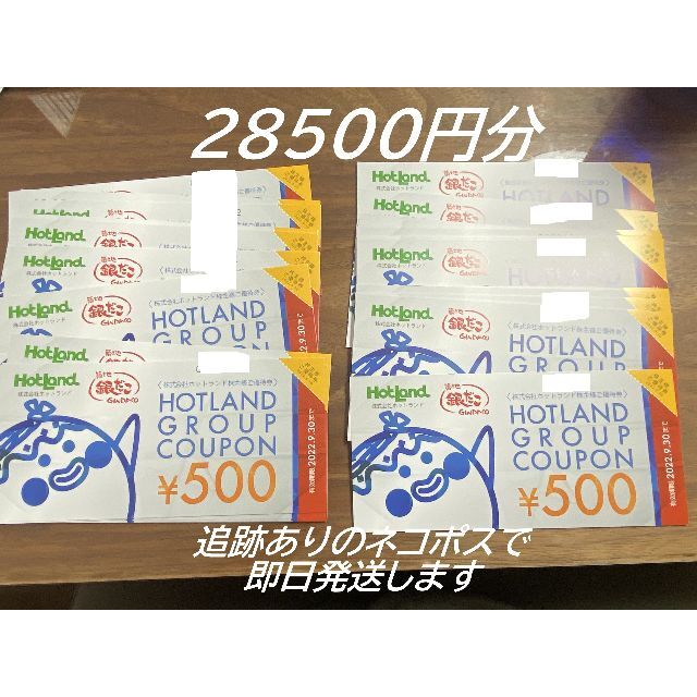 28500円分 ホットランド 築地銀だこ 株主優待券 銀だこ 【日本未発売