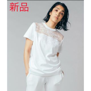 ダブルスタンダードクロージング(DOUBLE STANDARD CLOTHING)の【新品】DSCオーガンジードッキングTシャツ(Tシャツ/カットソー(半袖/袖なし))