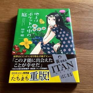 地上はポケットの中の庭　帯付き  美品　(その他)