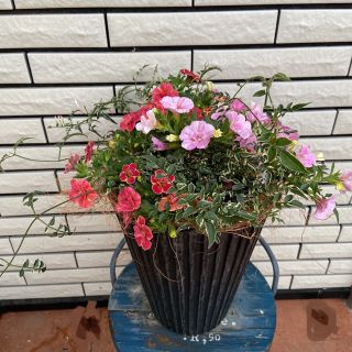 花ギフトピンクな寄せ植え♡母の日ギフト