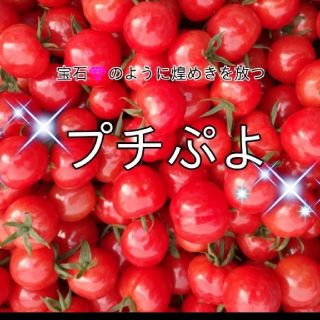 宝石💎のような煌めきを放つ「プチぷよ」1kg✩012(野菜)