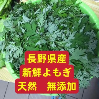 長野県産　新鮮よもぎ　天然無添加(野菜)