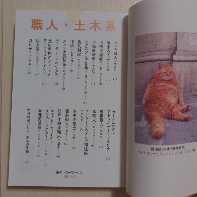 猫のハローワーク ２ エンタメ/ホビーの本(その他)の商品写真