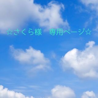 ☆さくら様専用ページ☆　はたらく車、新幹線、リップル電車(外出用品)