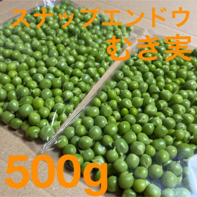 スナップエンドウ　むき実500g 食品/飲料/酒の食品(野菜)の商品写真