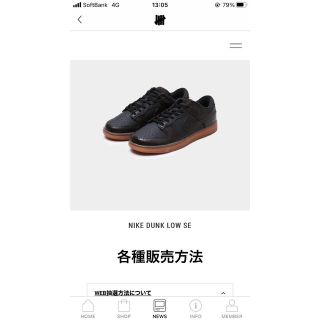 ナイキ(NIKE)のNIKE DUNK LOW SE  Velvet Brown and Black(スニーカー)