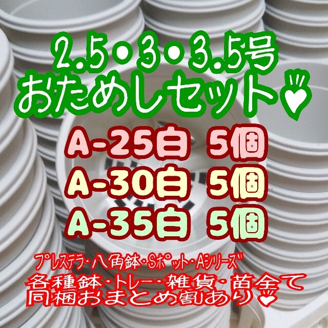 プラ鉢おためしセット♪【A-25・30・35 各5個】プレステラ多肉植物-