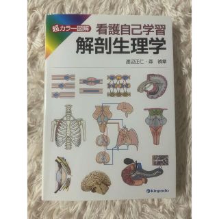 ニホンカンゴキョウカイシュッパンカイ(日本看護協会出版会)の解剖生理学 超カラ－図解看護自己学習(健康/医学)