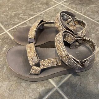 テバ(Teva)のTeva サンダル　パイソン(サンダル)