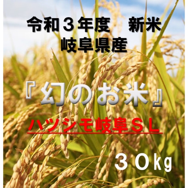 食品岐阜ブランド米　『岐阜ハツシモ』 新米 玄米　30kg