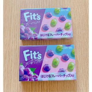 フィッツ 〈グレープミックス〉2個セット(菓子/デザート)