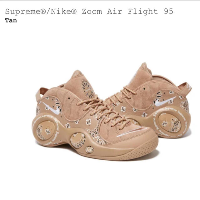 Supreme®/Nike® Zoom Air Flight 95