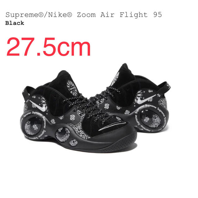 27.5cm  AIR ZOOM FLIGHT 95 SP