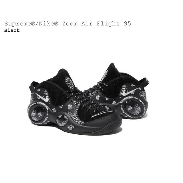 Supreme Nike Air Zoom Flight 95