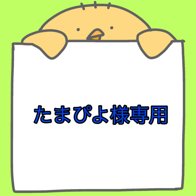正規品になります たまぴよ様専用 5/7 - www.tauntonscrapmetal.com