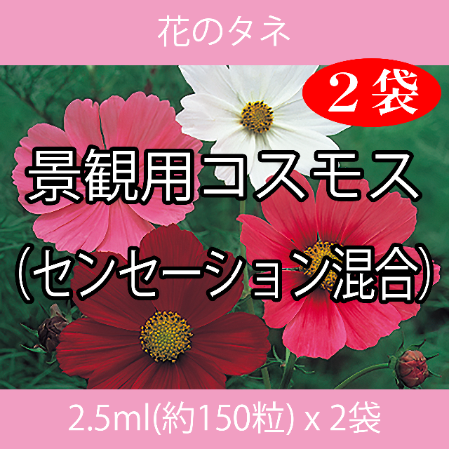 花のタネ EAI コスモス（センセーション混合） 2.5ml x 2袋 ハンドメイドのフラワー/ガーデン(プランター)の商品写真