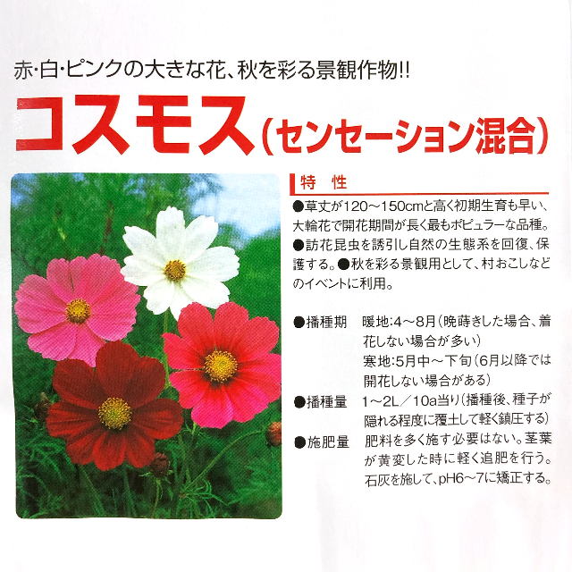 花のタネ EAI コスモス（センセーション混合） 2.5ml x 2袋 ハンドメイドのフラワー/ガーデン(プランター)の商品写真