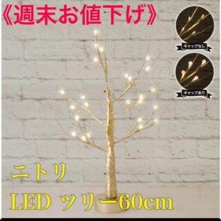 ニトリ - 【週末お値下げ】ニトリ LED ツリー 60cm (ゴールド)