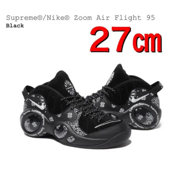 27cm  AIR ZOOM FLIGHT 95 SP