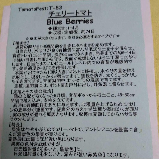 超希少〉珍しい野菜の種 ブルーベリートマトの種20粒 ハンドメイドのフラワー/ガーデン(その他)の商品写真