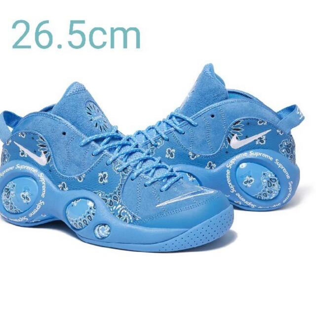 Supreme Nike Air Zoom Flight 95 blue