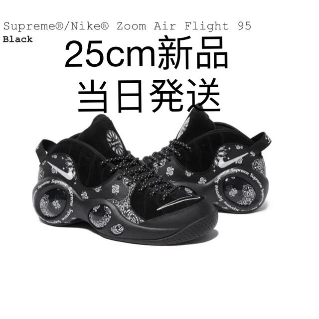 靴/シューズSupreme × Nike Air Zoom Flight 95 SP