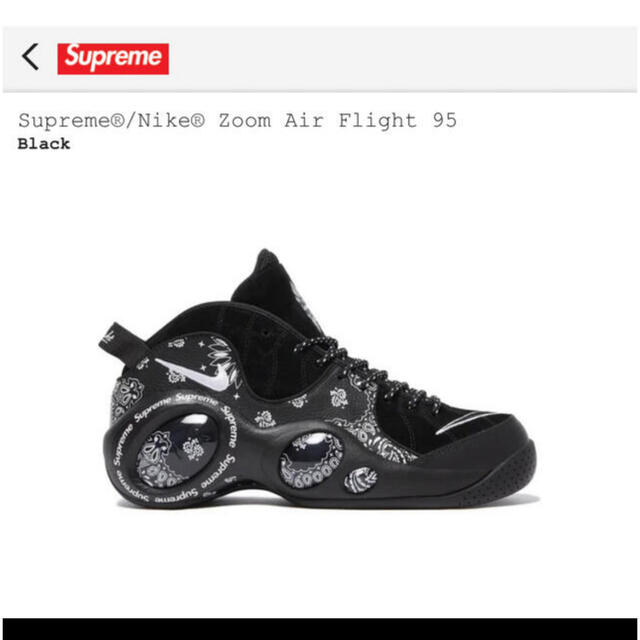 Supreme(シュプリーム)のシュプリーム × ナイキ エアズームフライト95 SP "ブラック/ホワイト" メンズの靴/シューズ(スニーカー)の商品写真