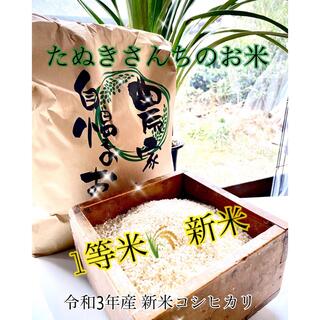 たぬきさんちのお米 新潟県産コシヒカリBL10㌔(米/穀物)