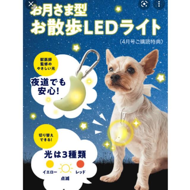 いぬのきもち　お月さま型お散歩LEDライト その他のペット用品(犬)の商品写真