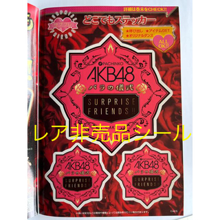 エーケービーフォーティーエイト(AKB48)の非売品レア AKB48チームサプライズ パンフ3種類（非売品レアステッカー付き）(アイドルグッズ)