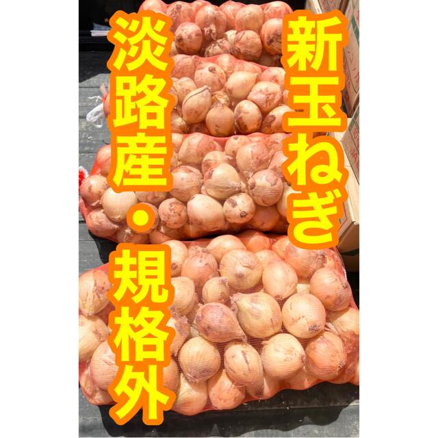 玉ねぎ　新玉　淡路県産　規格外　約5kg 食品/飲料/酒の食品(野菜)の商品写真