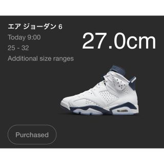 ナイキ(NIKE)のAIR JORDAN 6 RETRO - navy 27.0cm(スニーカー)