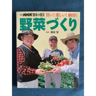 旨い！楽しい！納得！野菜づくり(趣味/スポーツ/実用)