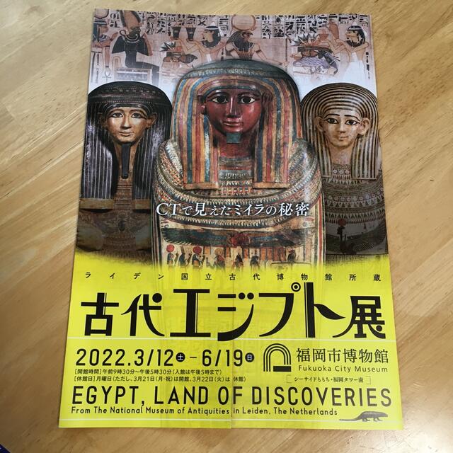 古代エジプト展　★★★ナイトミュージアム★★★入場券　大人と小学生 チケットの施設利用券(美術館/博物館)の商品写真