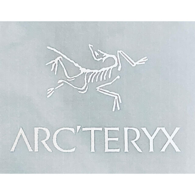 ARC'TERYX(アークテリクス)のARC’TERYX 新品未使用  Lサイズ  ナイロンジャケット　アークテリクス メンズのジャケット/アウター(ナイロンジャケット)の商品写真