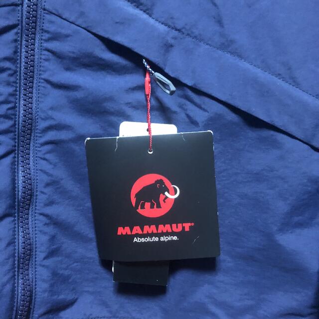 Mammut(マムート)のキャスパー様　専用 メンズのジャケット/アウター(マウンテンパーカー)の商品写真