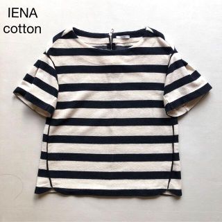 イエナ(IENA)の243イエナ コットンボーダー半袖バックファスナープルオーバー白×紺(シャツ/ブラウス(半袖/袖なし))