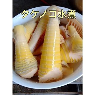 たけのこ水煮　約2kg(野菜)