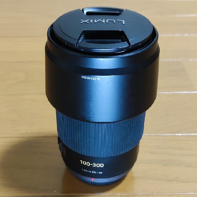 Panasonic LUMIX G VARIO 100-300 F4.0-5.6パナソニック