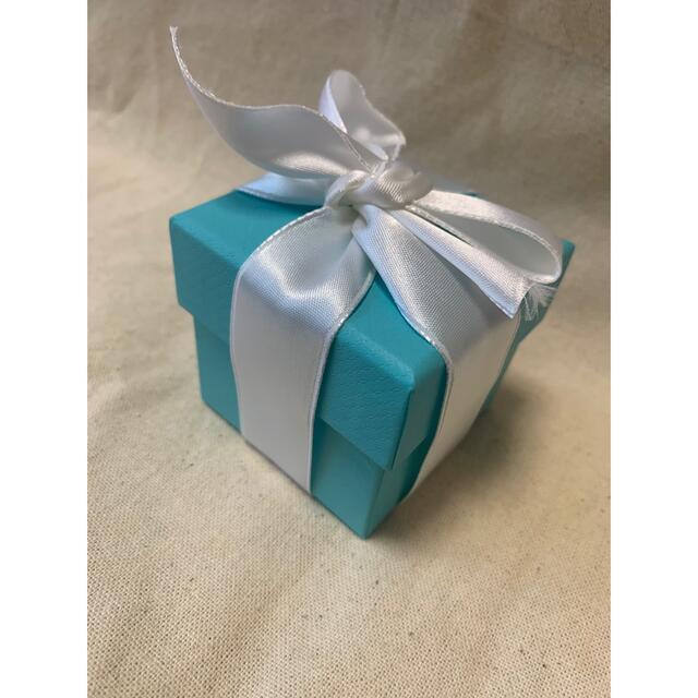 Tiffany & Co. - 完売品!!新品未使用【Tiffany & Co Tiffany & Co. - 完売品!!新品未使用【Tiffany & Co