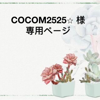 COCOM2525⭐︎ 様　専用ページ(その他)