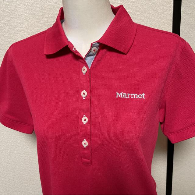 MARMOT(マーモット)のマーモットポロシャツ美品 レディースのトップス(ポロシャツ)の商品写真